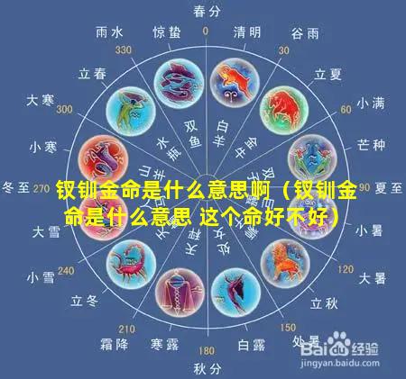 钗钏金命是什么意思啊（钗钏金命是什么意思 这个命好不好）